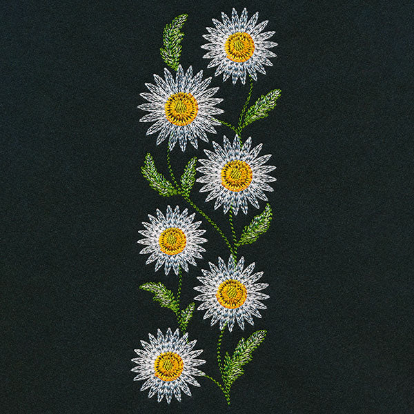 Wild Charms Tall Daisy Border - Image 3