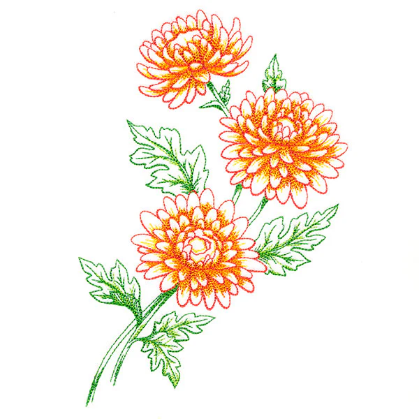 Wild Chrysanthemum Bouquet - Image 5