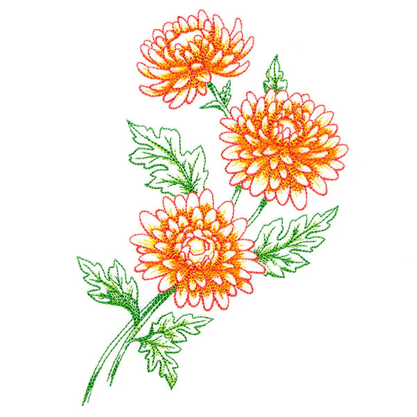 Wild Chrysanthemum Bouquet - Image 7