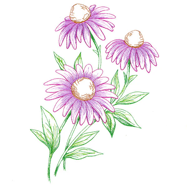 Wild Coneflower Bouquet