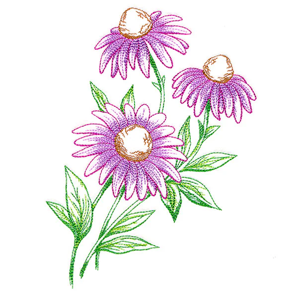 Wild Coneflower Bouquet - Image 3