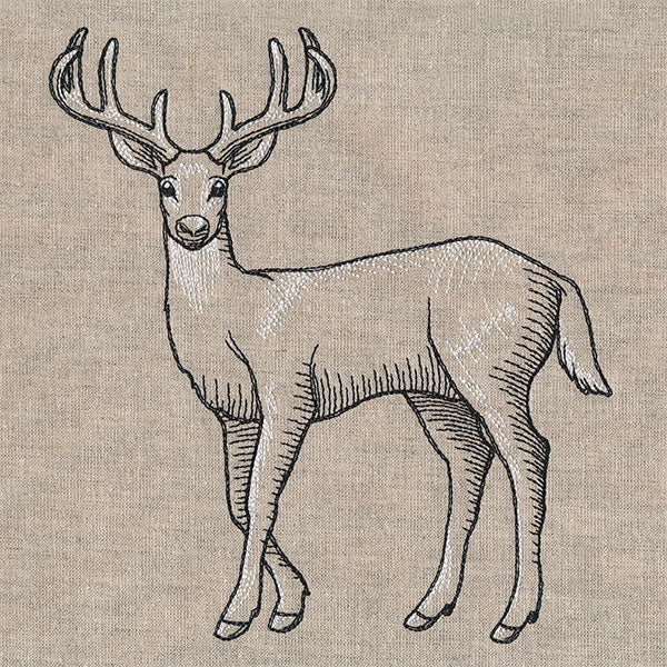 Wild Deer Etching - Image 7
