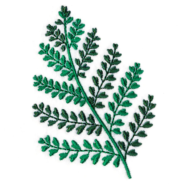 Wild Fern 3 - Image 2