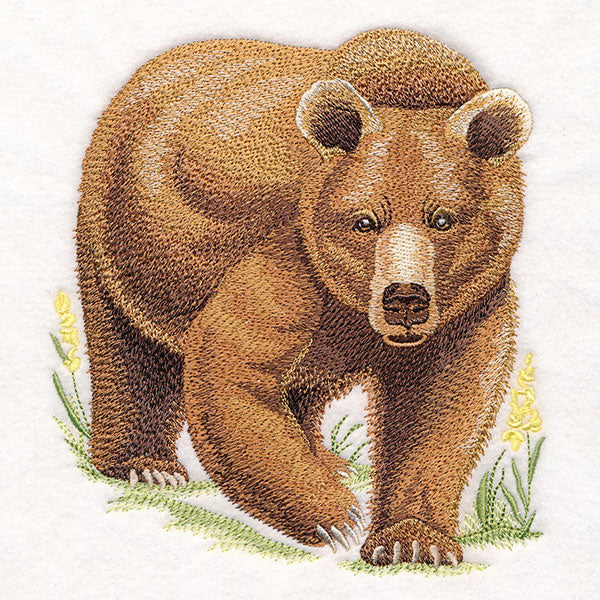 Wild Grizzly Bear - Image 4