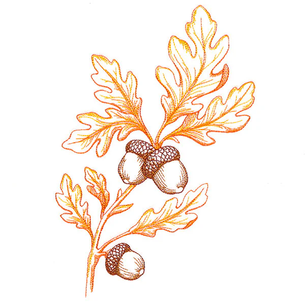 Wild Oak Leaf Bouquet - Image 3