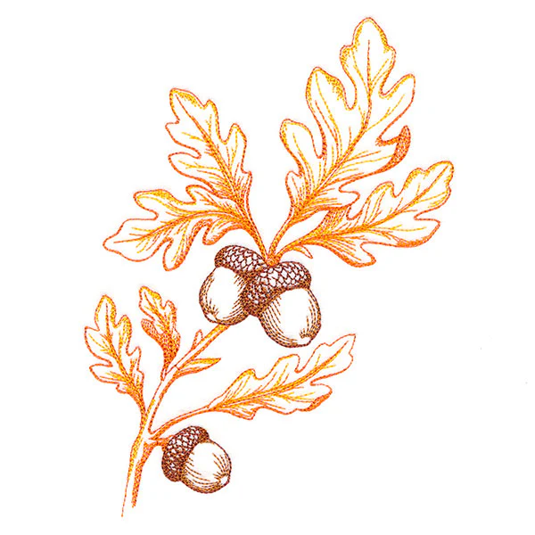 Wild Oak Leaf Bouquet - Image 5