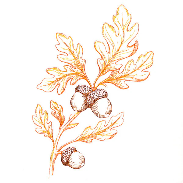 Wild Oak Leaf Bouquet - Image 7