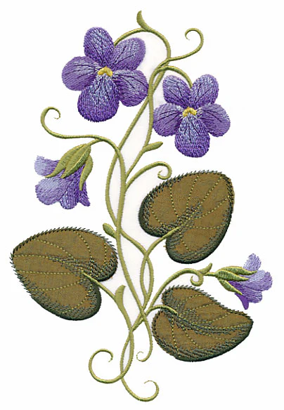 Wild Violets (Luxury Applique) - Image 3