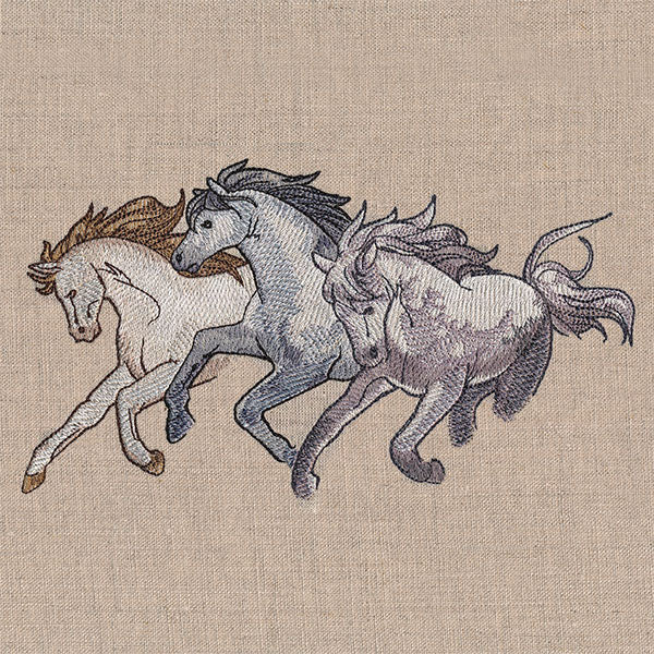 Wild West Stallions - Image 5