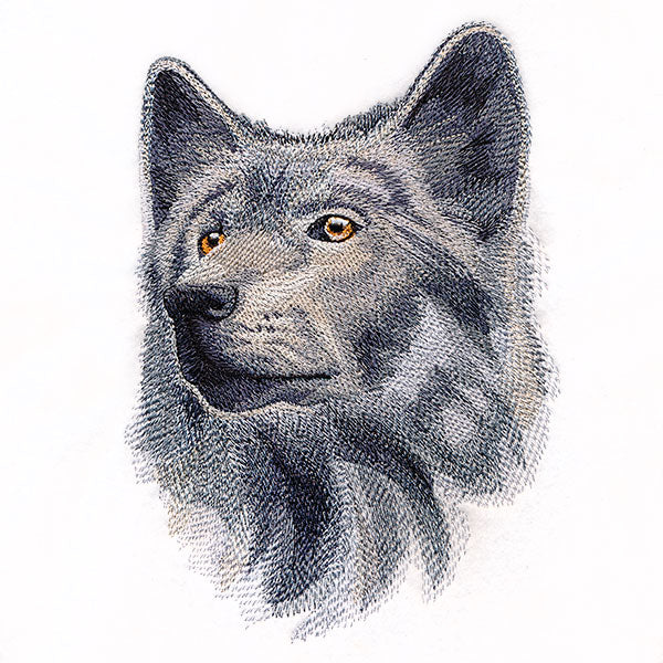 Wild Wolf Portrait - Image 3