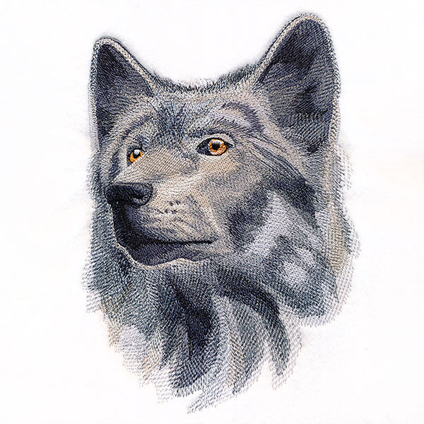 Wild Wolf Portrait - Image 7