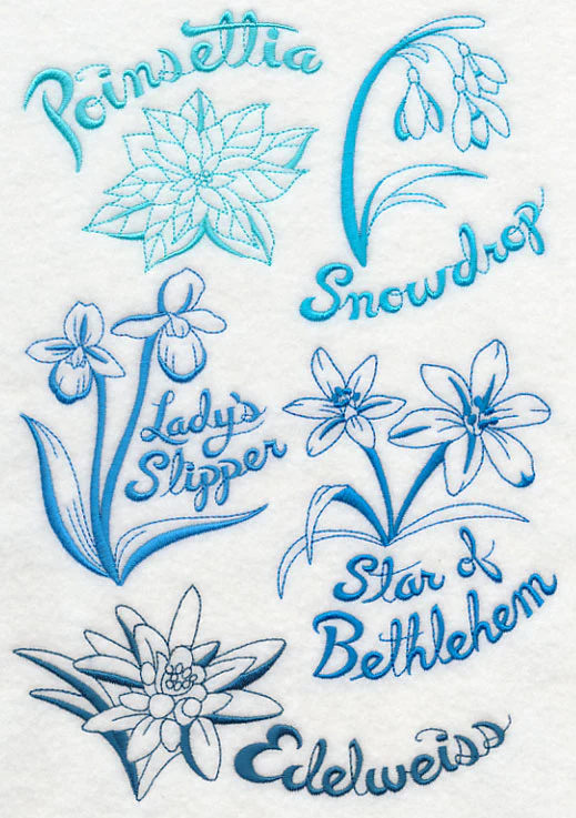 Winter Garden Collage