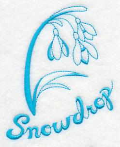Winter Garden Snowdrop - Image 3