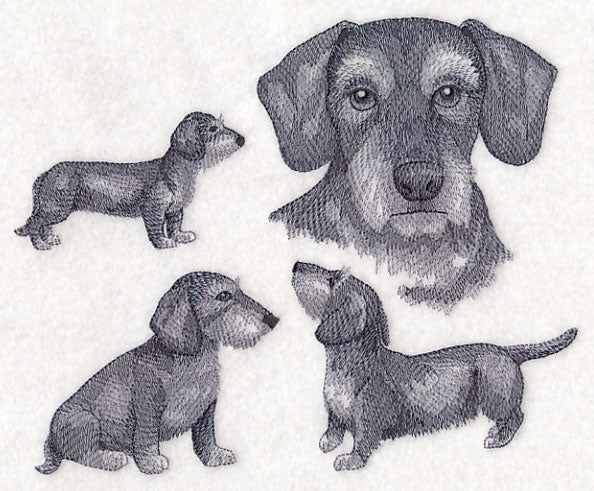 Wire-Haired Wiener Dog Sketch - Image 4