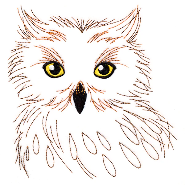 Wise Owl - Image 2