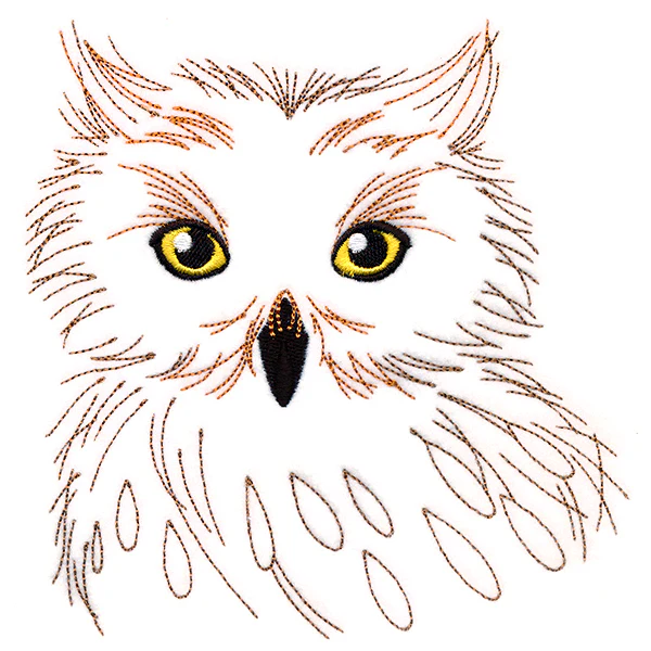 Wise Owl - Image 3