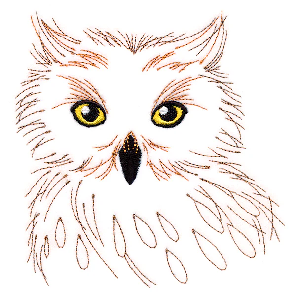 Wise Owl - Image 4