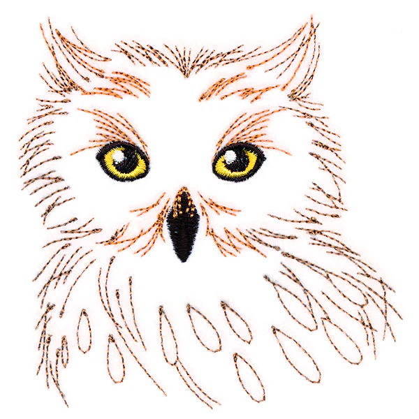 Wise Owl - Image 5
