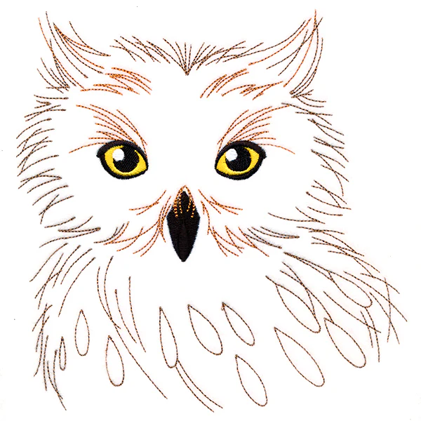 Wise Owl - Image 6