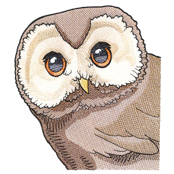 Wise Peeking Owl - Image 4