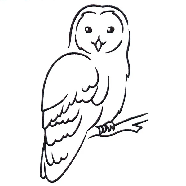 Wise Winter Owl