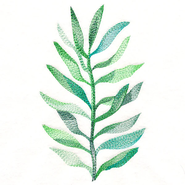 Wispy Botanical in Watercolor - Image 2