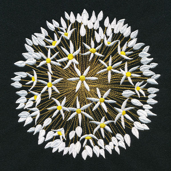 Wonder & Beauty Allium - Image 2