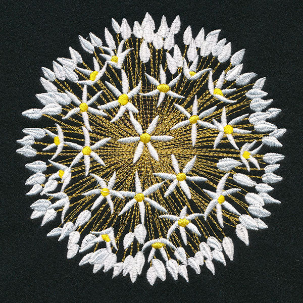 Wonder & Beauty Allium - Image 4