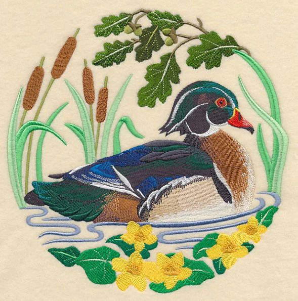 Wood Duck Scene - Image 2