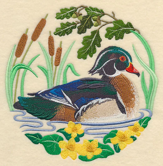 Wood Duck Scene - Image 3