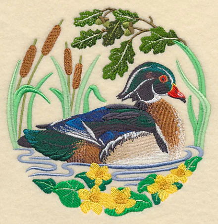 Wood Duck Scene - Image 4