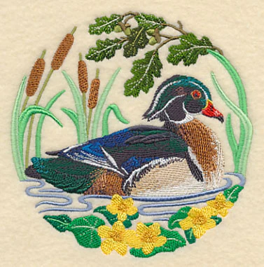 Wood Duck Scene - Image 5