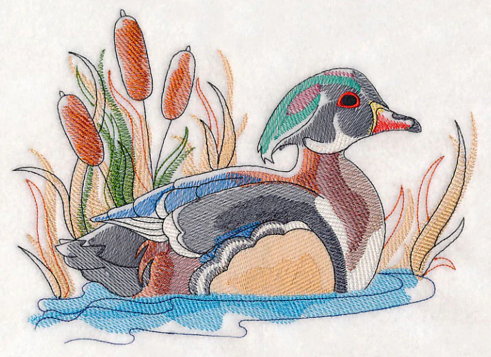 Wood Duck Sketch - Image 4