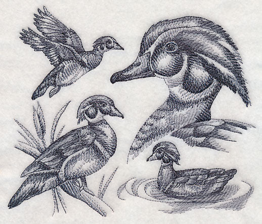Wood Duck Sketch - Image 2