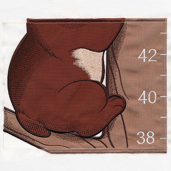 Woodland Animals Growth Chart (Applique) - Image 8