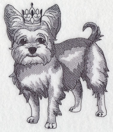 Yorkshire Terrier in Crown - Image 2