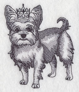 Yorkshire Terrier in Crown - Image 3