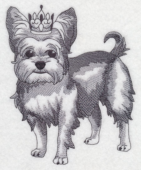 Yorkshire Terrier in Crown - Image 4